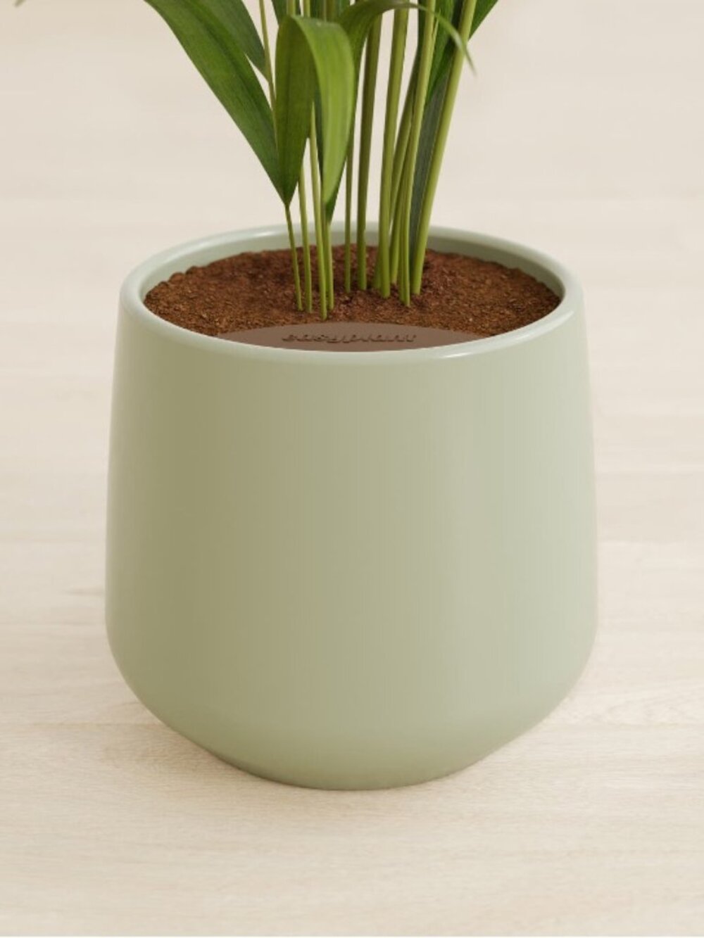 Easyplant Self-Watering Ceramic Planter Pot. Mint Green. Amber - Picture 3 of 7